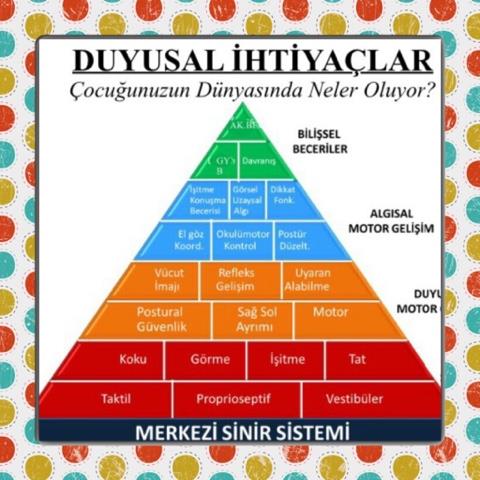 Duygusal İhtiyaçlar